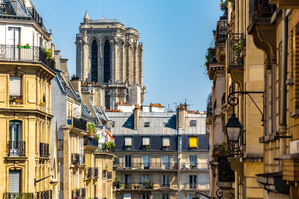 istock Paris with Notre Dame in the background 1224154358