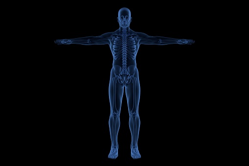 Blue neon outline of the male human body with sceleton