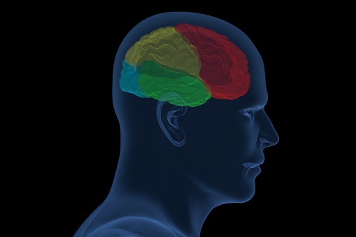 Human brain shaped made of jigsaw puzzles inside head on black background. Mental health and problems with memory.