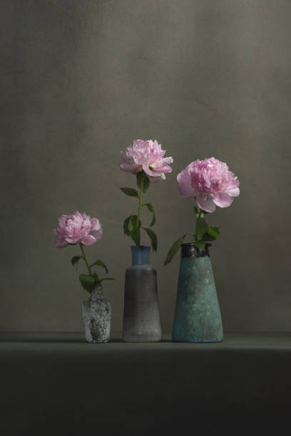 istock Three vintage pottery vases with pink peonies on a table in a grey room. 1224157091