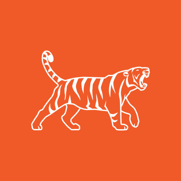 tiger line sign vector illustration tiger growling line logo sign emblem on orange background tiger mascot stock illustrations