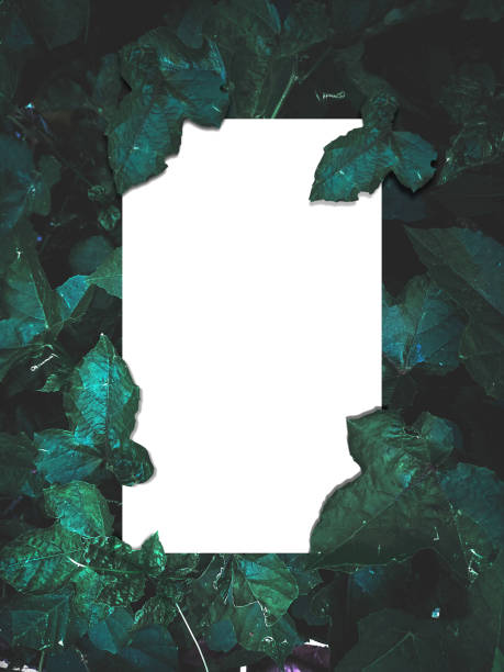 istock Creative layout made of flowers and leaves with paper card note for background 1224160717
