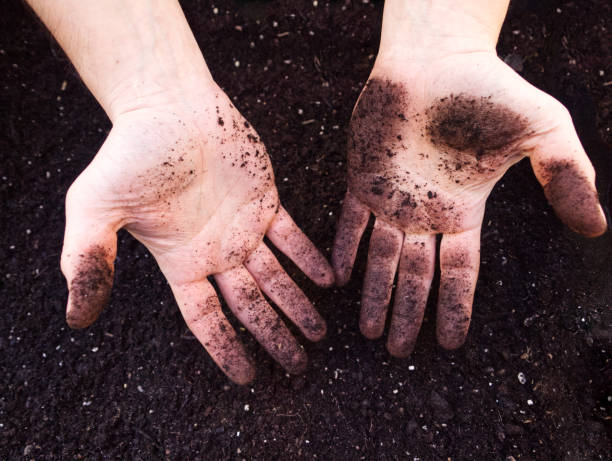 istock Dirty male hands with soil 1224161807