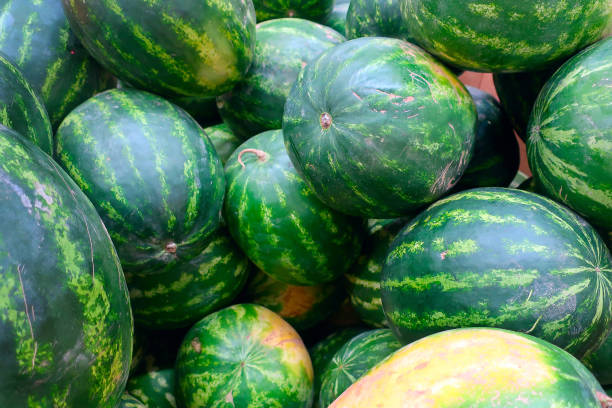 istock green ripe watermelons piled in a pile 1224162459