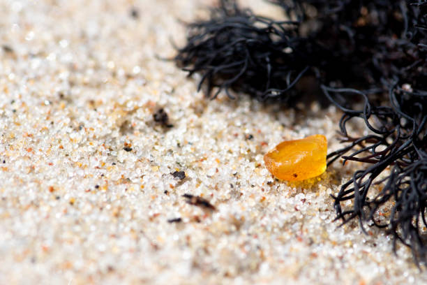 istock Beautiful piece of amber on the beach 1224163399