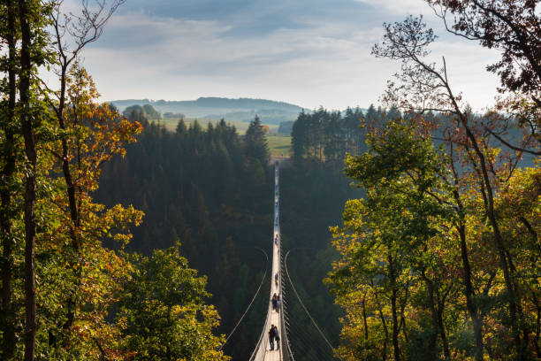 istock Geierlay suspension bridge 1224165506