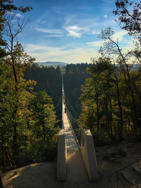 istock Geierlay suspension bridge 1224166501