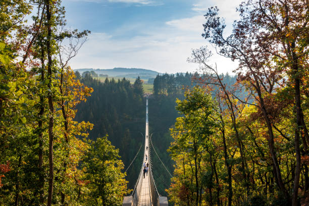 puente colgante geierlay - cross autumn sky beauty in nature fotografías e imágenes de stock