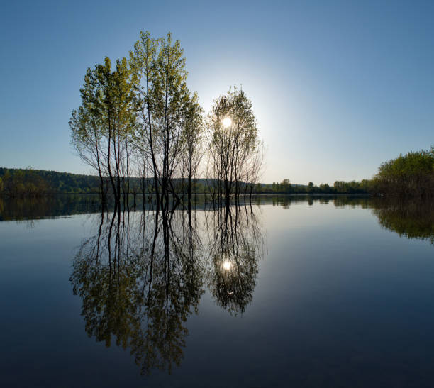 istock Spring flood on the Siberian river 1224167110