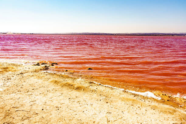 istock Pink lake, coastal landscape, Spain 1224167288