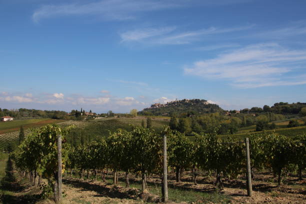 istock View of Palazzone in Tuscany 1224172415
