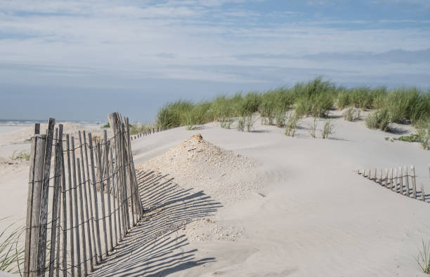 istock Sand Dunes and Beach, Avalon, New Jersey 1224173622