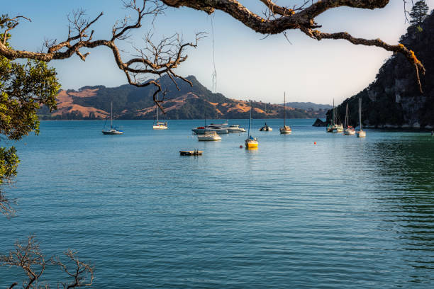 Mercury Bay in Whitianga on the Coromandel Peninsula in New Zealand Mercury Bay in Whitianga on the Coromandel Peninsula in New Zealand coromandel peninsula stock pictures, royalty-free photos & images