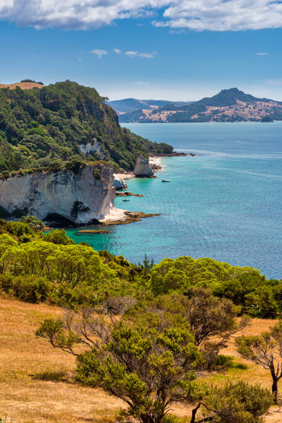 istock View of Gemstone Bay while walking to Cathedral Cove 1224174801