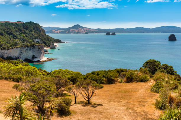 istock View of Gemstone Bay while walking to Cathedral Cove 1224175628