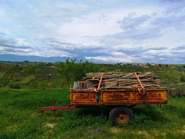 istock agricultural trailer with parked wood 1224175973