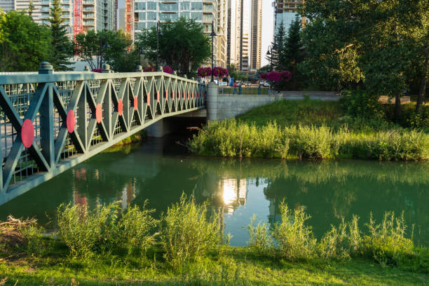 istock calgary skyline cityscape, Alberta, Canada 1224176198