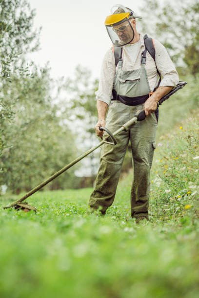 jardinero corta la hierba - hedge clippers weed trimmer grass lawn fotografías e imágenes de stock