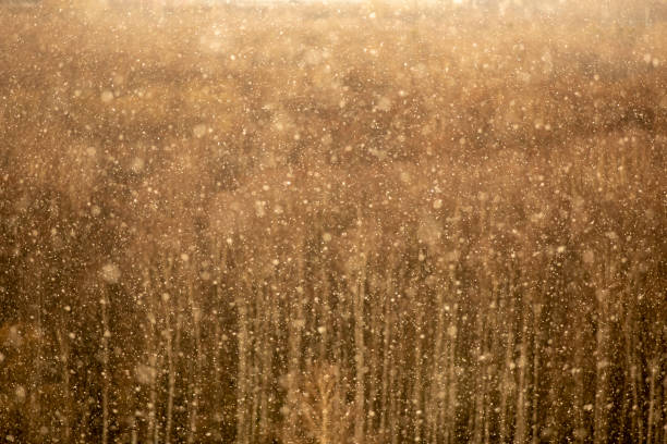 istock Snowflakes on a blurry brown forest background 1224179147