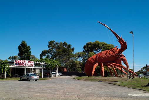 Kingston SE, Australia - January 26, 2008: The Big Lobster sculpture - landmark and advertisement for a restaurant in the village on Limestone Coast