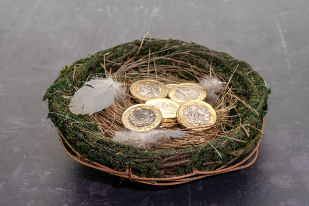 Retirement or savings nest egg with British one pound coins Retirement or savings nest egg with British one pound coins golden nest egg taxes stock pictures, royalty-free photos & images