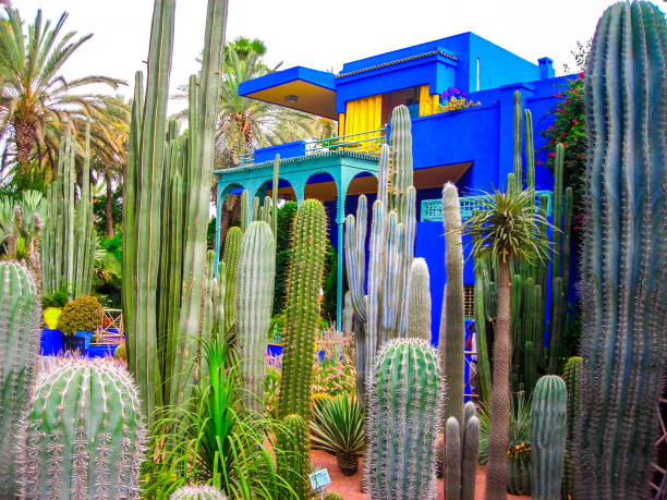 Majorelle Gardens, Marrakech. stock photo