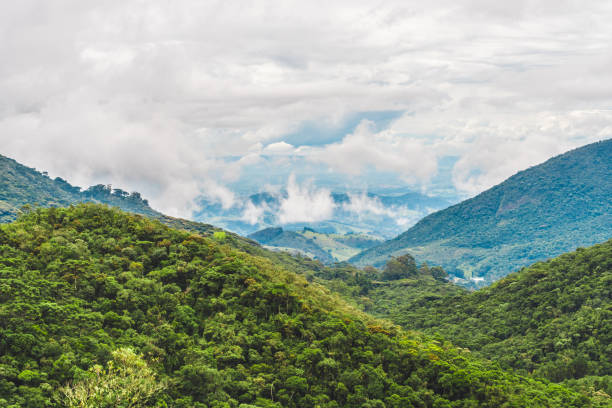 istock Itatiaia National Park 1224190693