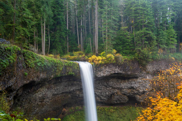 istock Long exposure of a waterfall at Silver Falls State Park 1224194522