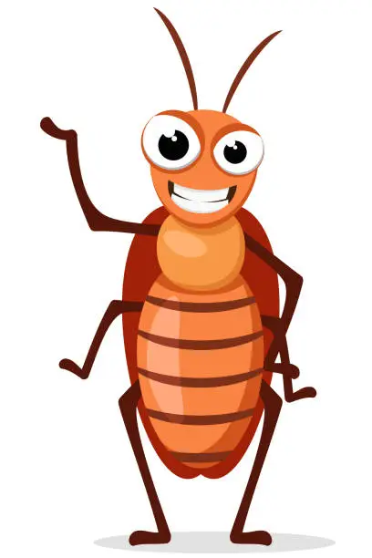 Vector illustration of A cockroach insect stands and smiles on a white background