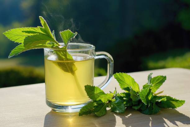 Fresh mint tea on the garden table Fresh mint tea on the garden table mint julep photos stock pictures, royalty-free photos & images