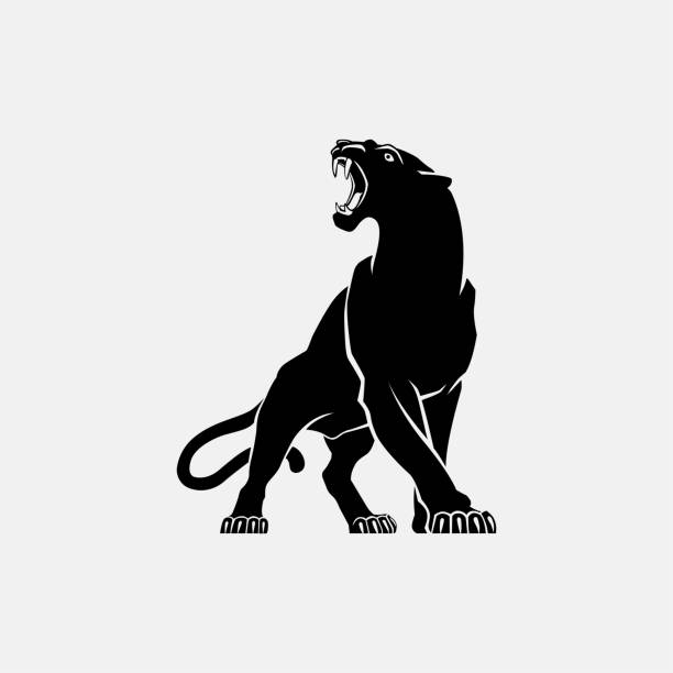ilustraciones, imágenes clip art, dibujos animados e iconos de stock de pantera negra signo emblema silueta vector ilustración sobre fondo blanco - panthers