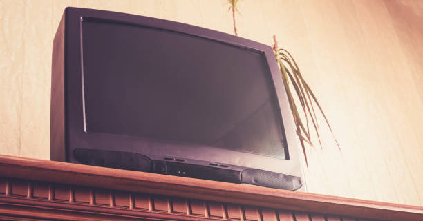 istock small black television set stands on dark brown commode at green pot plant 1224197198
