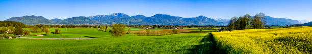 istock field at the european alps 1224198674
