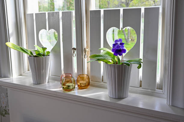 istock flowers in window light in Swedish house 1224200950