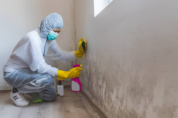 istock Worker of cleaning service removes the mold using antimicrobial spray and sponge 1224200978