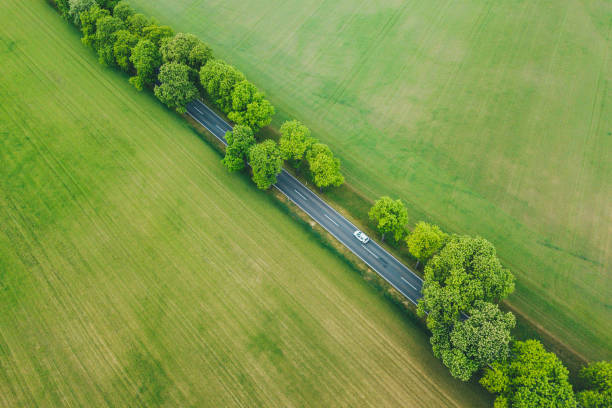 緑の風景の中の電気自動車 - car green nature landscape ストックフォトと画像