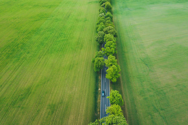緑のフィールドを走行する電気自動車 - car green nature landscape ストックフォトと画像