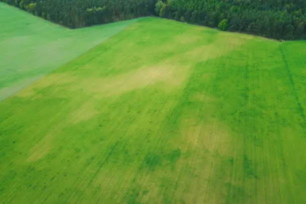 Photo of Zig-zagging tree line and field