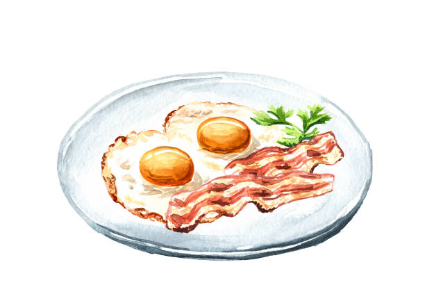 ilustraciones, imágenes clip art, dibujos animados e iconos de stock de huevos fritos en el plato con trozos de tocino y hierbas frescas. ilustración de acuarela dibujada a mano aislada sobre fondo blanco - bacon illustration and painting pork ham