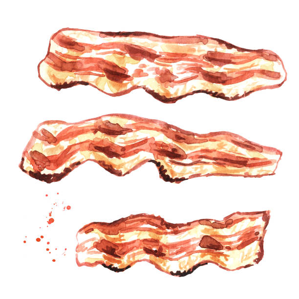 ilustraciones, imágenes clip art, dibujos animados e iconos de stock de conjunto de piezas de tocino frito. ilustración de acuarela dibujada a mano aislada sobre fondo blanco - bacon illustration and painting pork ham