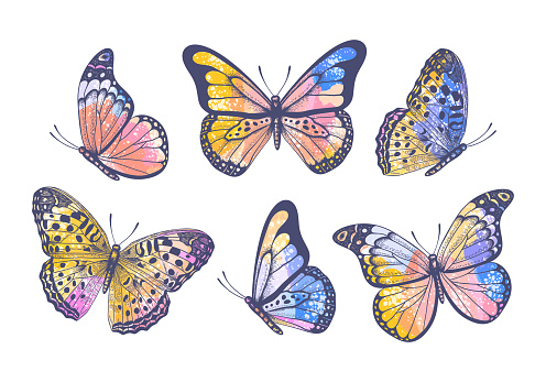 Vector vintage hand drawn colorful set with beautiful pastel watercolor butterflies isolated on white background