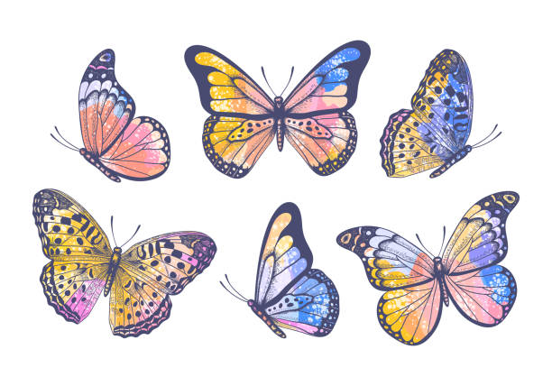 Vector hand drawn colorful set with pastel watercolor butterflies on white background Vector vintage hand drawn colorful set with beautiful pastel watercolor butterflies isolated on white background butterfly wing patterns stock illustrations