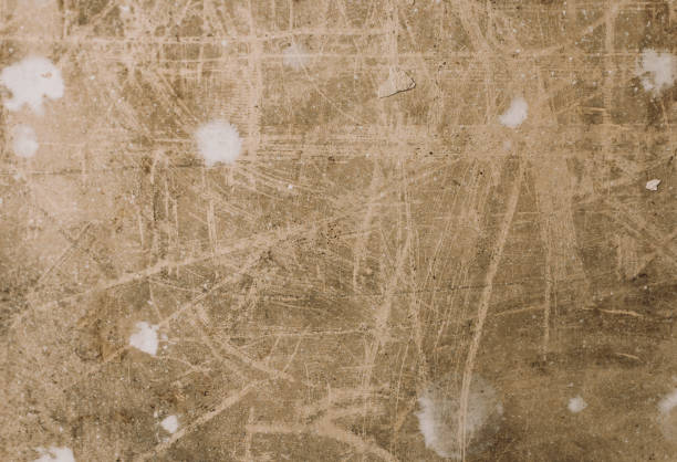 The texture of the iron tree. Background on a cut of wood.