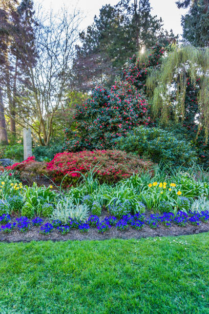 istock Seward Park Flower Garden 4 1224207000