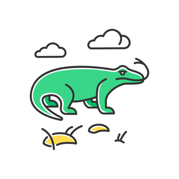 Komodo dragon green color icon. Tropical country animals. Indonesian islands fauna. Exploring exotic wildlife. Varans in nature. Largest extant lizard. Isolated vector illustration Komodo dragon green color icon. Tropical country animals. Indonesian islands fauna. Exploring exotic wildlife. Varans in nature. Largest extant lizard. Isolated vector illustration komodo dragon drawing stock illustrations