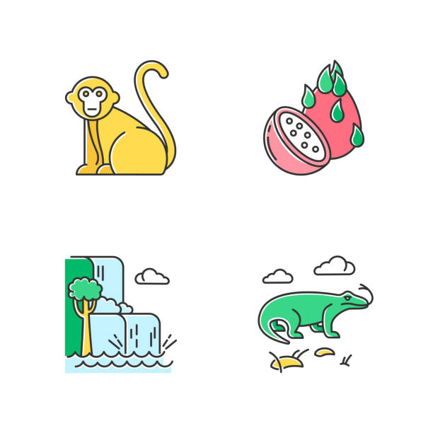 Indonesia color icons set. Tropical country animals. Trip to Indonesian islands. Exploring exotic wildlife. Unique fruits and plants. Nature wonders and waterfalls. Isolated vector illustrations Indonesia color icons set. Tropical country animals. Trip to Indonesian islands. Exploring exotic wildlife. Unique fruits and plants. Nature wonders and waterfalls. Isolated vector illustrations komodo dragon drawing stock illustrations