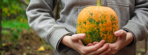 istock pumpkin, ripe and fresh fruit (harvest, healthy eating) menu concept background. top view. copy spaces 1224212162