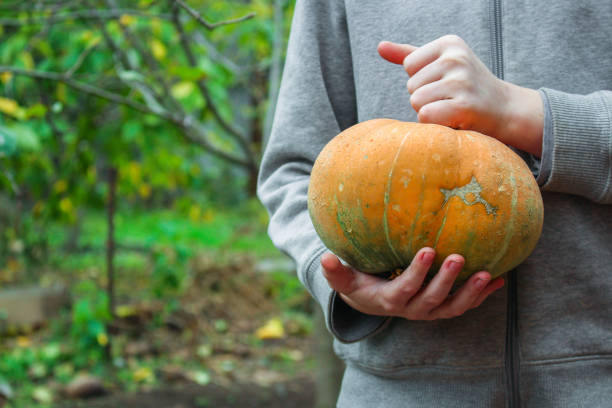 istock pumpkin, ripe and fresh fruit (harvest, healthy eating) menu concept background. top view. copy spaces 1224212171