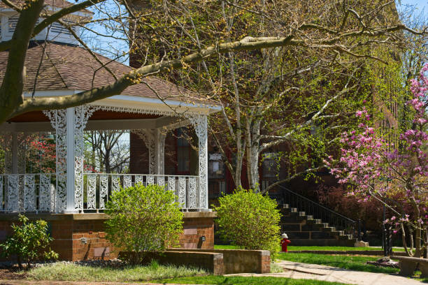 gazebo de village au printemps - sunlight flower magnolia flower head photos et images de collection