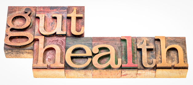 gut health - isolated word abstract in vintage letterpress wood type printing blocks, digestive health concept